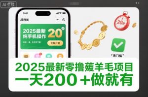 2025最新零撸薅羊毛项目,纯手机操作,20秒一单,无任何门槛,一天200+做就有【揭秘】-理想项目库