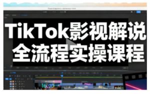 TikTok影视解说全流程实操,手把手教你打造TK爆款解说视频-理想项目库