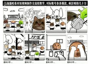 卤蛋哈基米短视频制作全流程教学,条条爆款,疯狂吸粉几十万-理想项目库