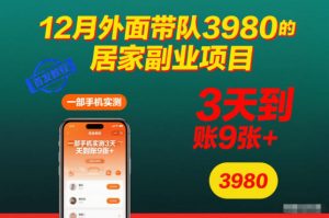 12月外面带队3980的居家副业项目,一部手机实测3天到账9张+,首发教程【揭秘】-理想项目库