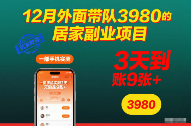12月外面带队3980的居家副业项目，一部手机实测3天到账9张+，首发教程【揭秘】-理想项目库