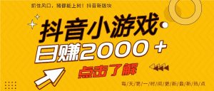 5年爆火的抖音小游戏项目,一部手机日入2000+-理想项目库