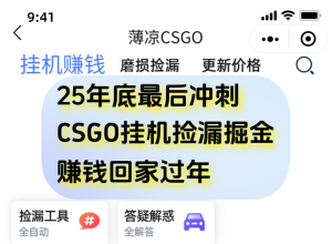 用CSGO游戏挂机捡漏掘金赚钱掘金,一部手机轻松日入500+-理想项目库