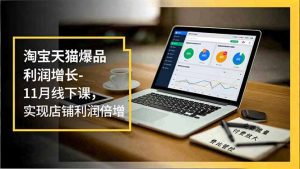 淘宝天猫爆品利润增长-11月线下课,免费流量、付费放大、费比管控,实现店铺利润倍增-理想项目库