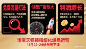 淘宝天猫精细化爆品运营11月22-24杭州线下课,免费流量打法+付费广告放大+利润增长(音频+文档)-理想项目库