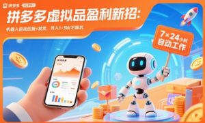 拼多多虚拟品盈利新招:机器人自动回复+发货,月入1-3W不踩坑【揭秘】-理想项目库