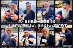 用AI复刻暴躁老道语录视频,21条作品涨粉8.8W,保姆级Sora2制作教学-理想项目库
