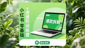 小红书零基础+高阶训练营:安全养号、爆款拆解、长效运营,实现稳定涨粉与变现-理想项目库
