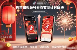 抖音和视频号,春节倒计时玩法,操作方法简单,可实现快速涨粉,后期可转带货-理想项目库