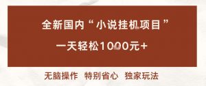 全新国内小说挂G项目,多窗口无脑跑,一天轻松1k+,特别省心【揭秘】-理想项目库
