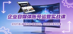 企业自媒体账号运营实战课：定位打造+ 爆款内容+数据优化，快速提升账号权重-理想项目库