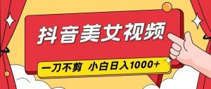 抖音美女视频，一刀不剪，两分钟一条视频，小白轻松上手，日入1000-理想项目库