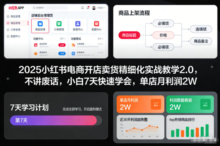 2025小红书电商开店卖货精细化实战教学2.0，不讲废话，小白7天快速学会，单店月利润2W-理想项目库