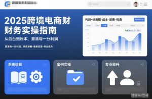 2025跨境电商财务实操指南，从后台到账本，算清每一分利润，系统讲解-案例实操-专业提升-理想项目库