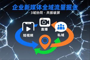 短视频全域商业模式，企业新媒体全域流量掘金，3域协同，共振破屏，短视频-直播-私域-地域-理想项目库